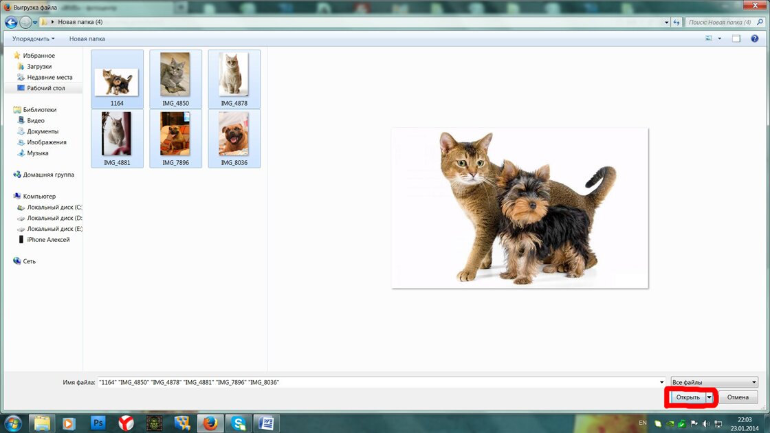 выбор файла