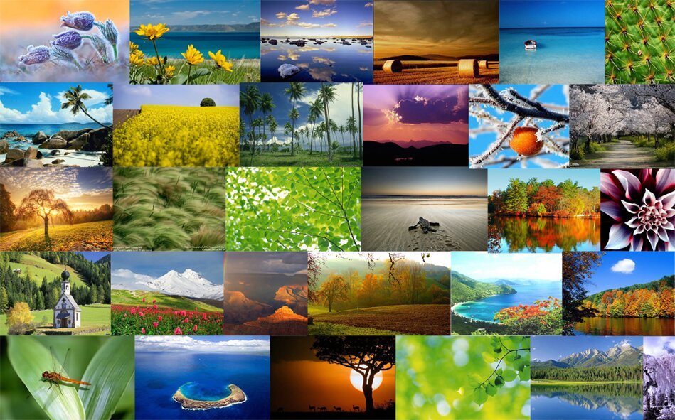 Фотоколлаж