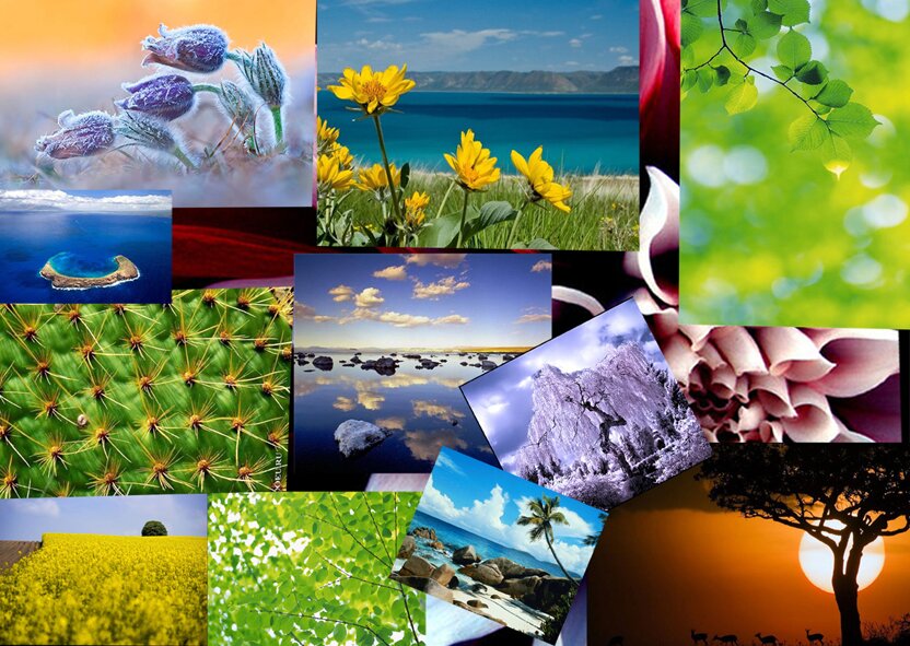 Фотоколлаж Ирвис-фото